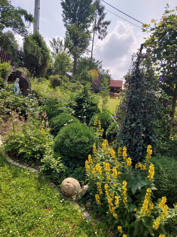 Noclegi U Ilony Czarna Góra Exteriör bild